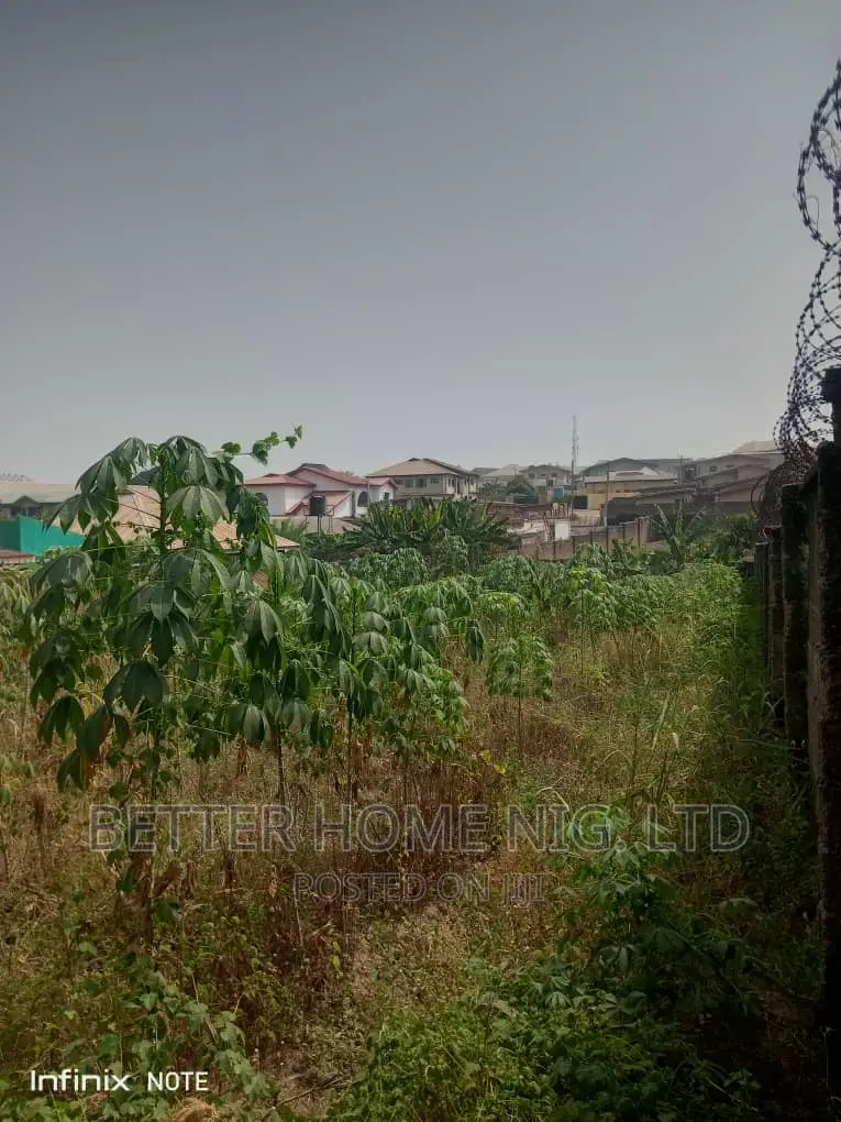 A Plot of Land at Akala Express Rd in Oluyole