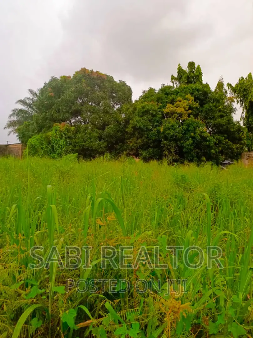 Almost 3plots Facing Ayobo-Isefun Major Road in Ayobo