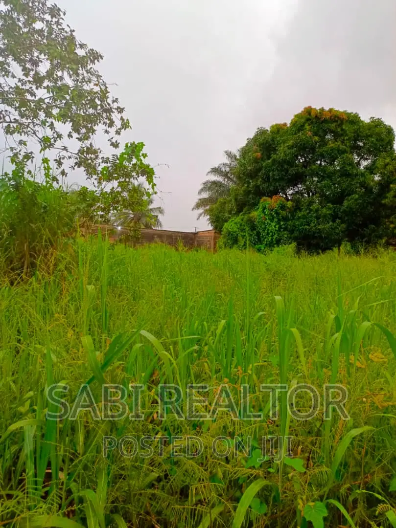 Almost 3plots Facing Ayobo-Isefun Major Road in Ayobo