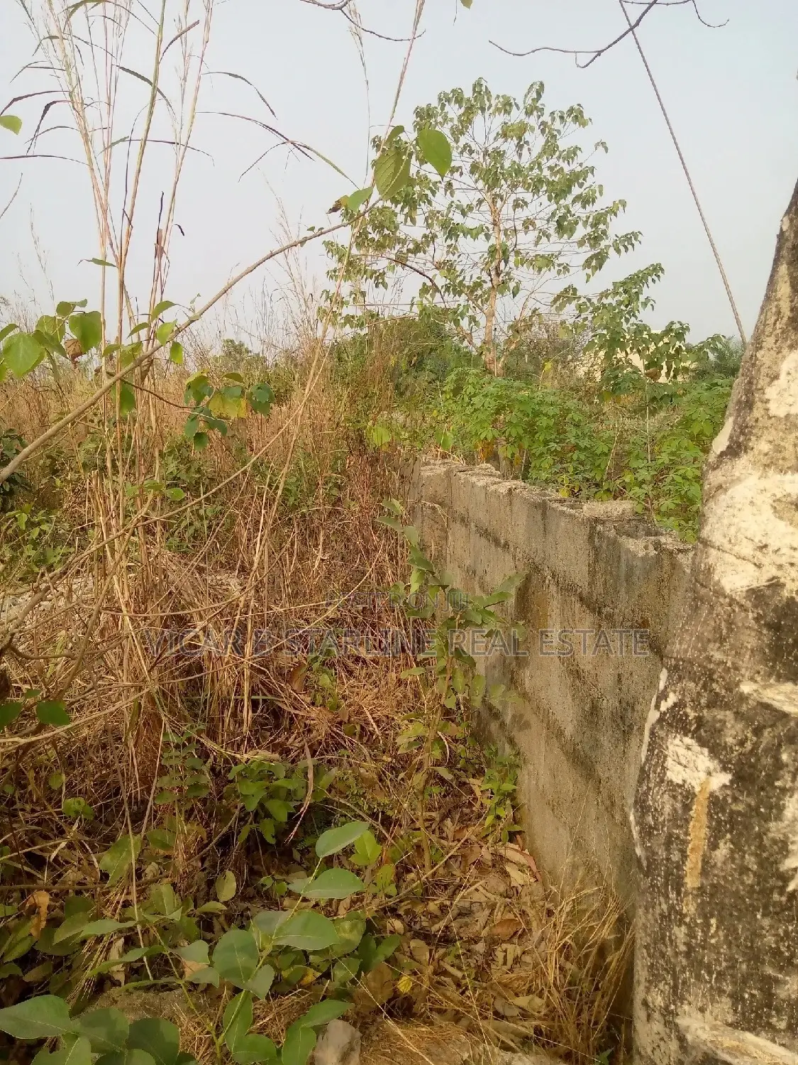 2 Plots of Land With C of O Located at Nkwoagu for Sale in Abakaliki