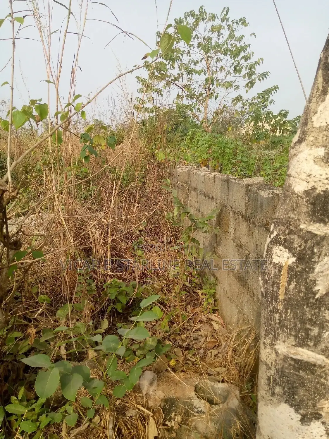 2 Plots of Land With C of O Located at Nkwoagu for Sale in Abakaliki