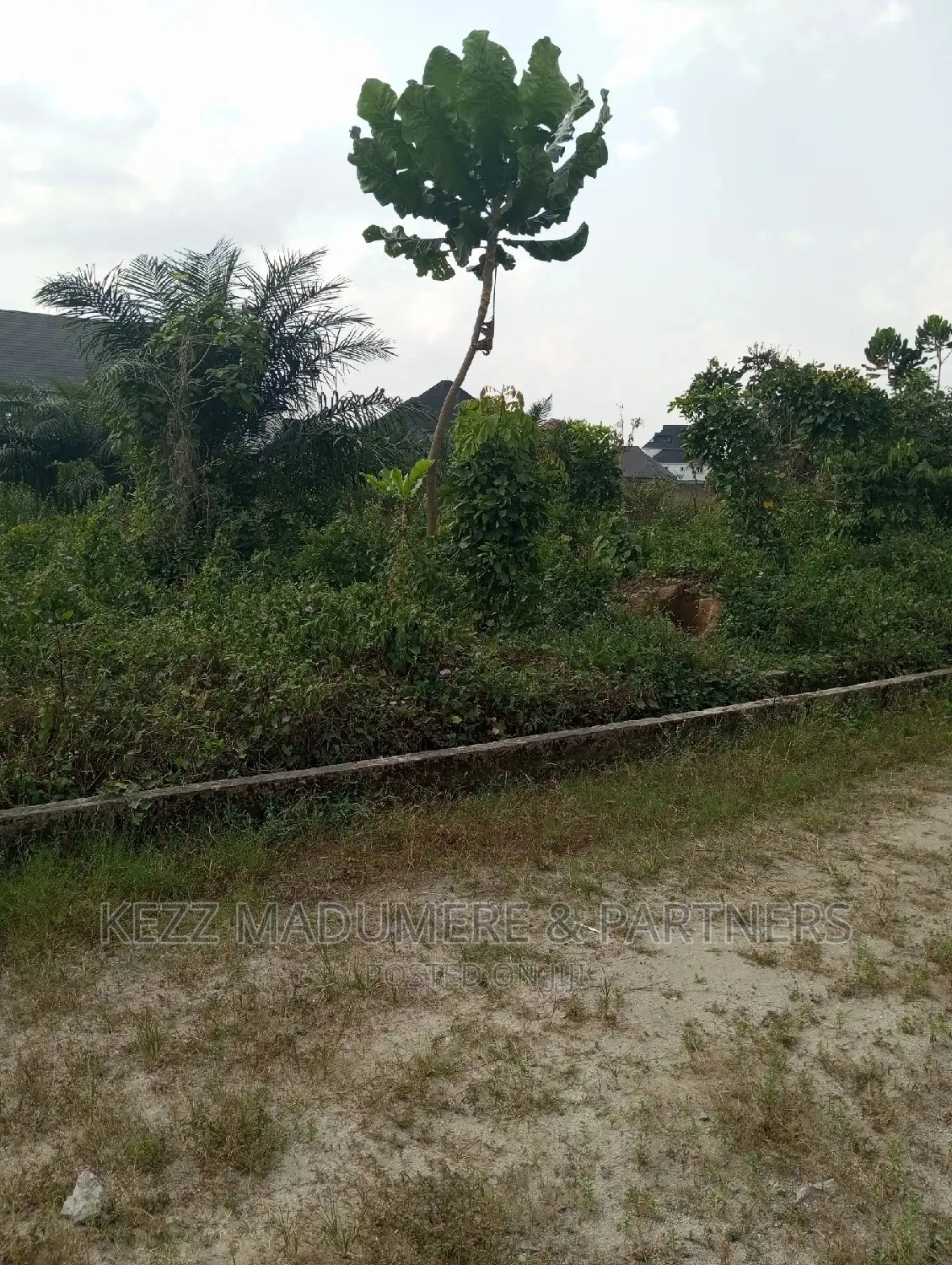 For Sale Land at Apu Rd, Rukpokwu in Rukpokwu