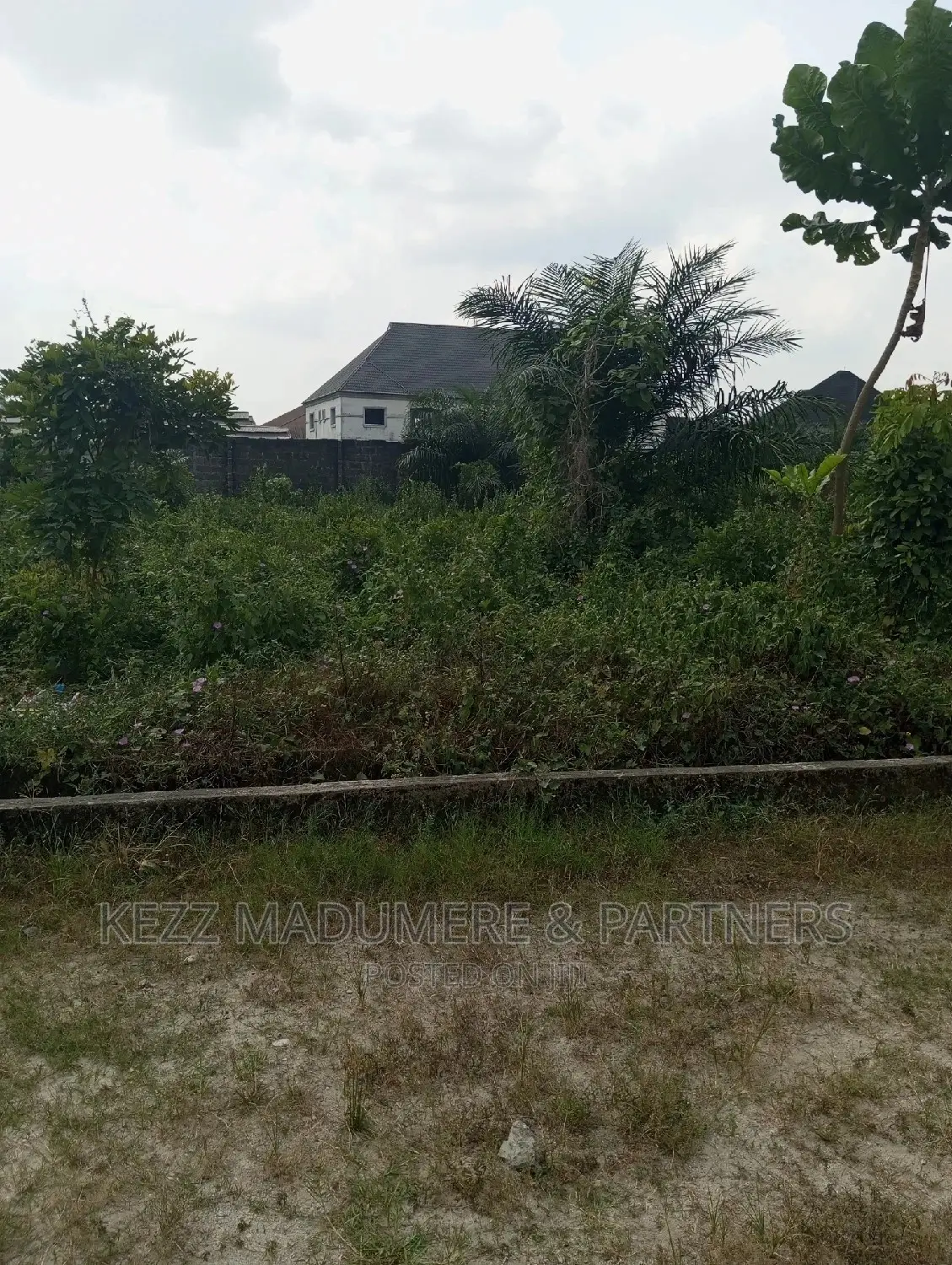For Sale Land at Apu Rd, Rukpokwu in Rukpokwu