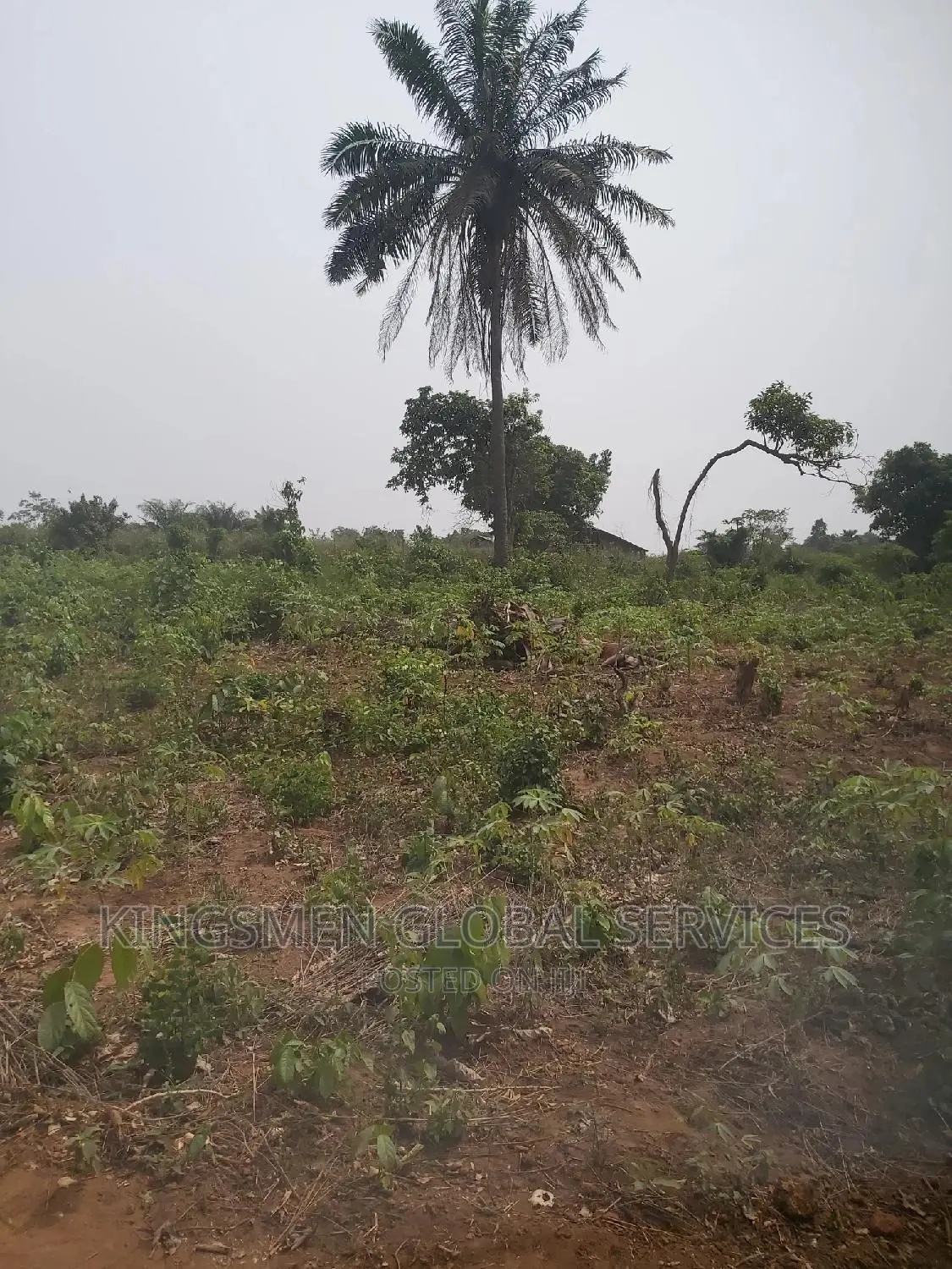 One Plot of Land at Agbowa in Ikorodu in Ikorodu