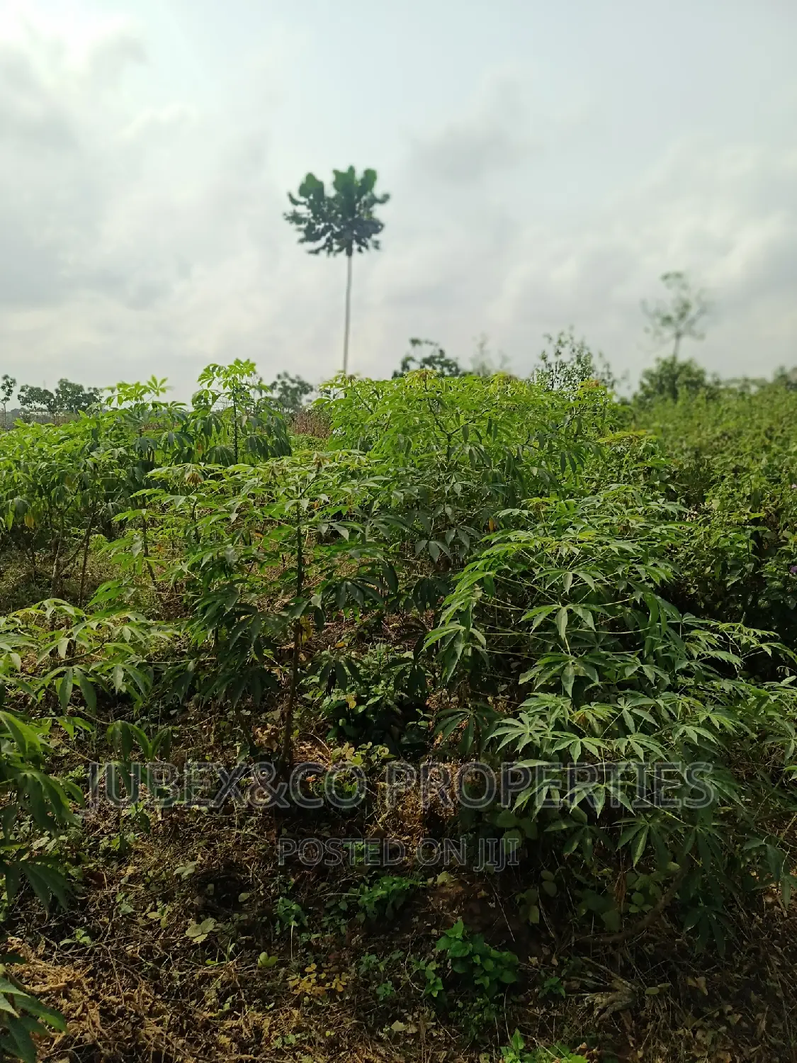 Acres of Land for Sale at Badagry in Ado-Odo/Ota