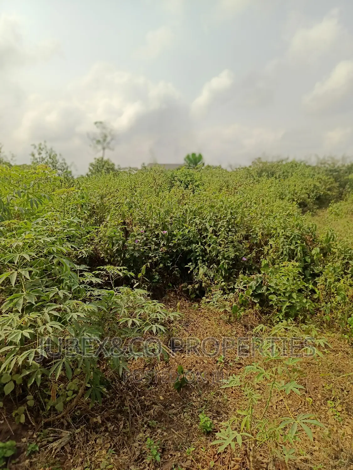 Acres of Land for Sale at Badagry in Ado-Odo/Ota