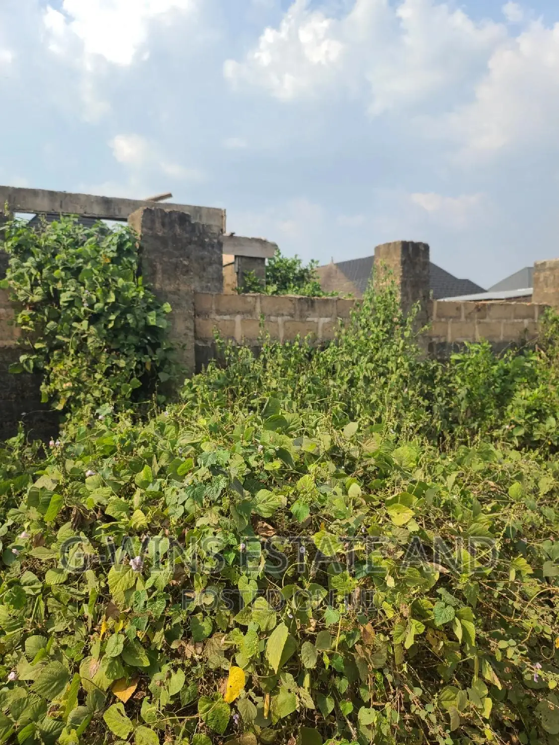 50x100ft for Sale at Okhuoromi Off Airport Road in Benin City