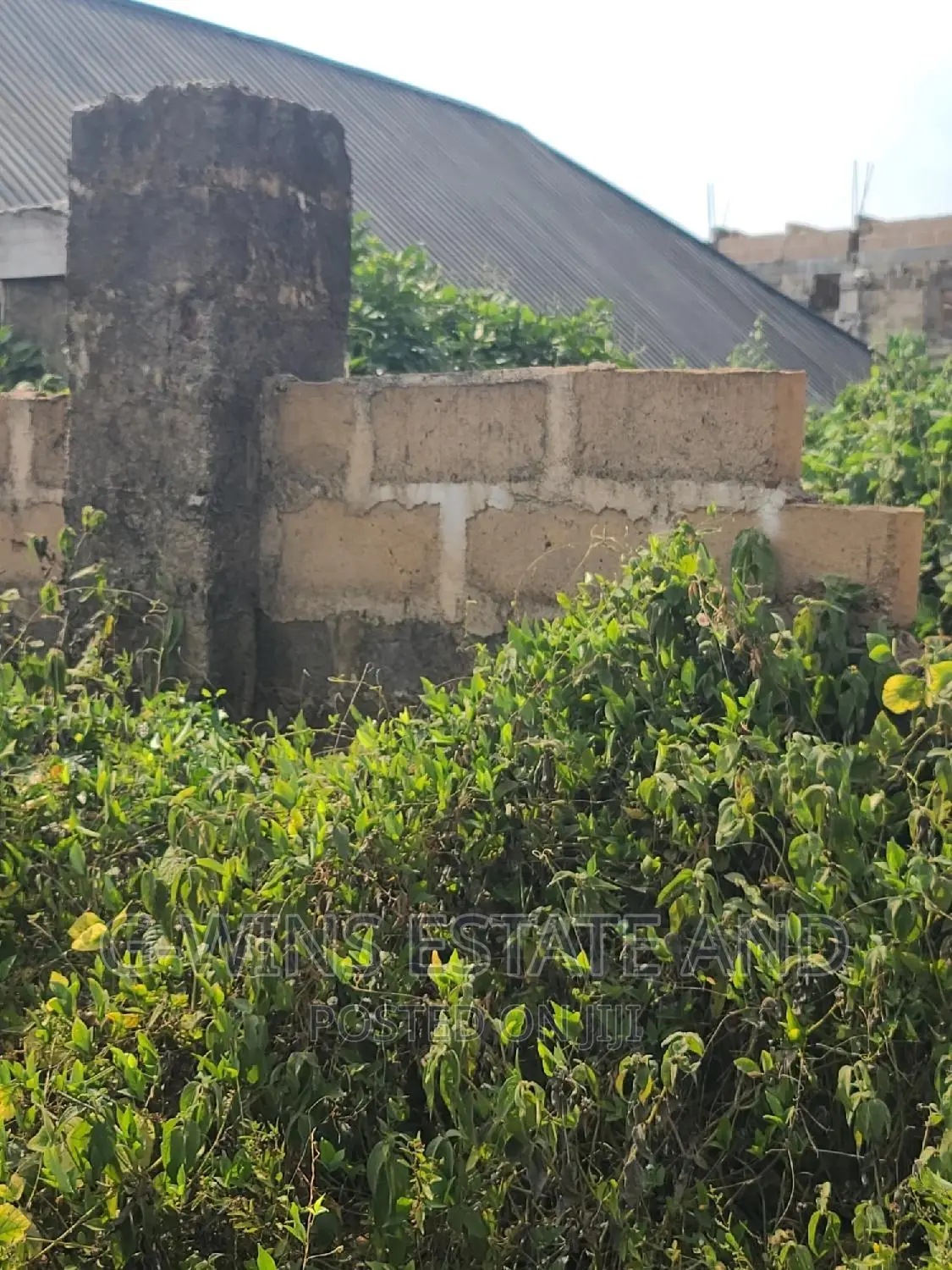 50x100ft for Sale at Okhuoromi Off Airport Road in Benin City
