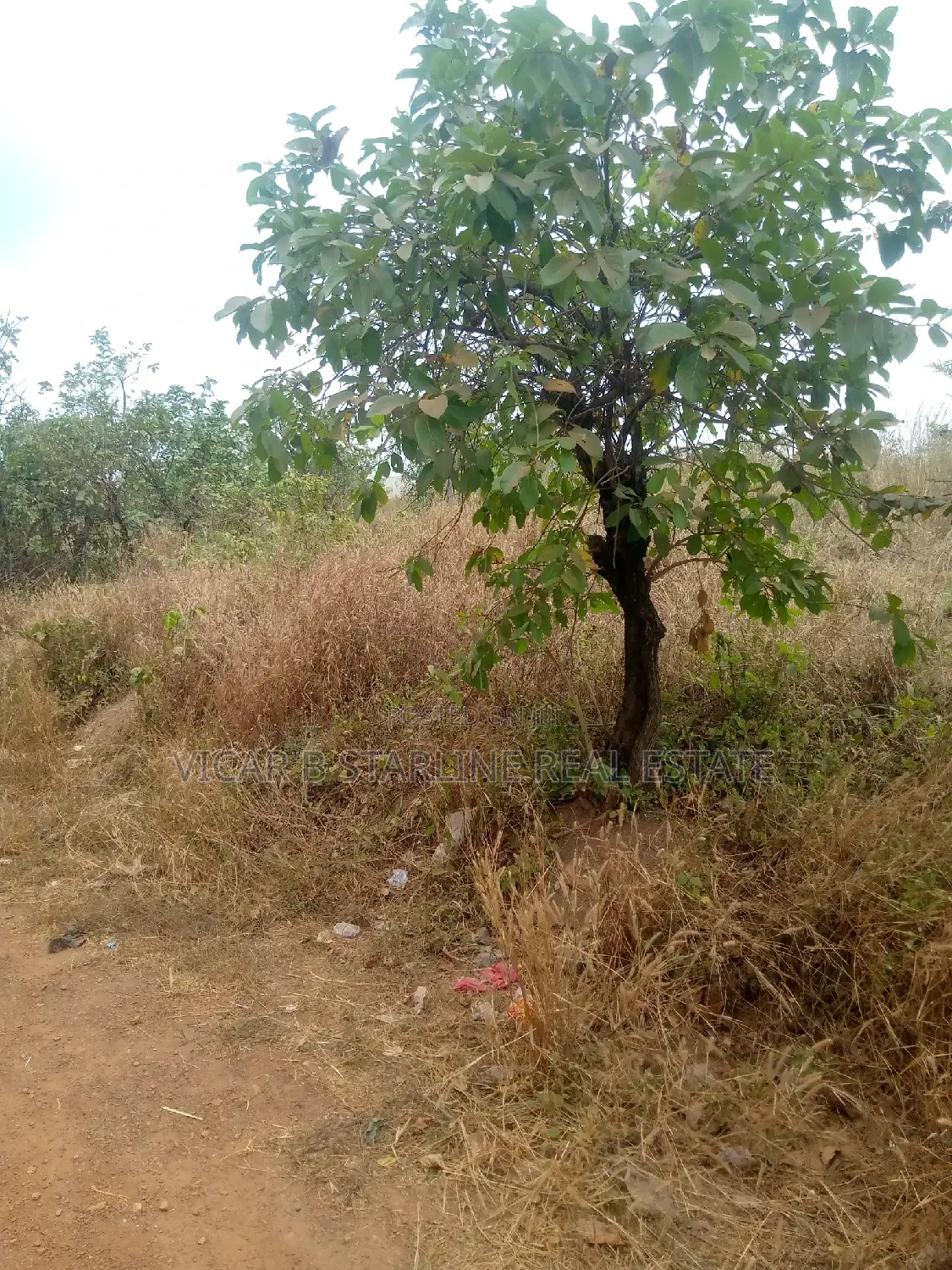 Two Plots of Land for Sale at Behind Timber Market Abakaliki in Abakaliki