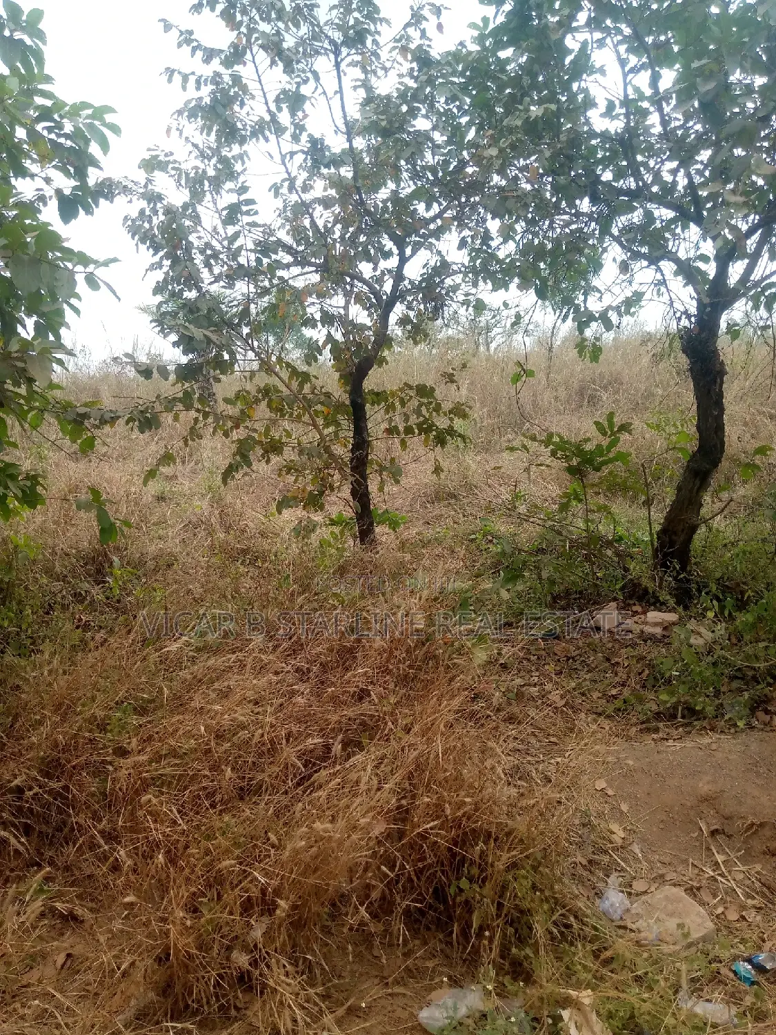Two Plots of Land for Sale at Behind Timber Market Abakaliki in Abakaliki