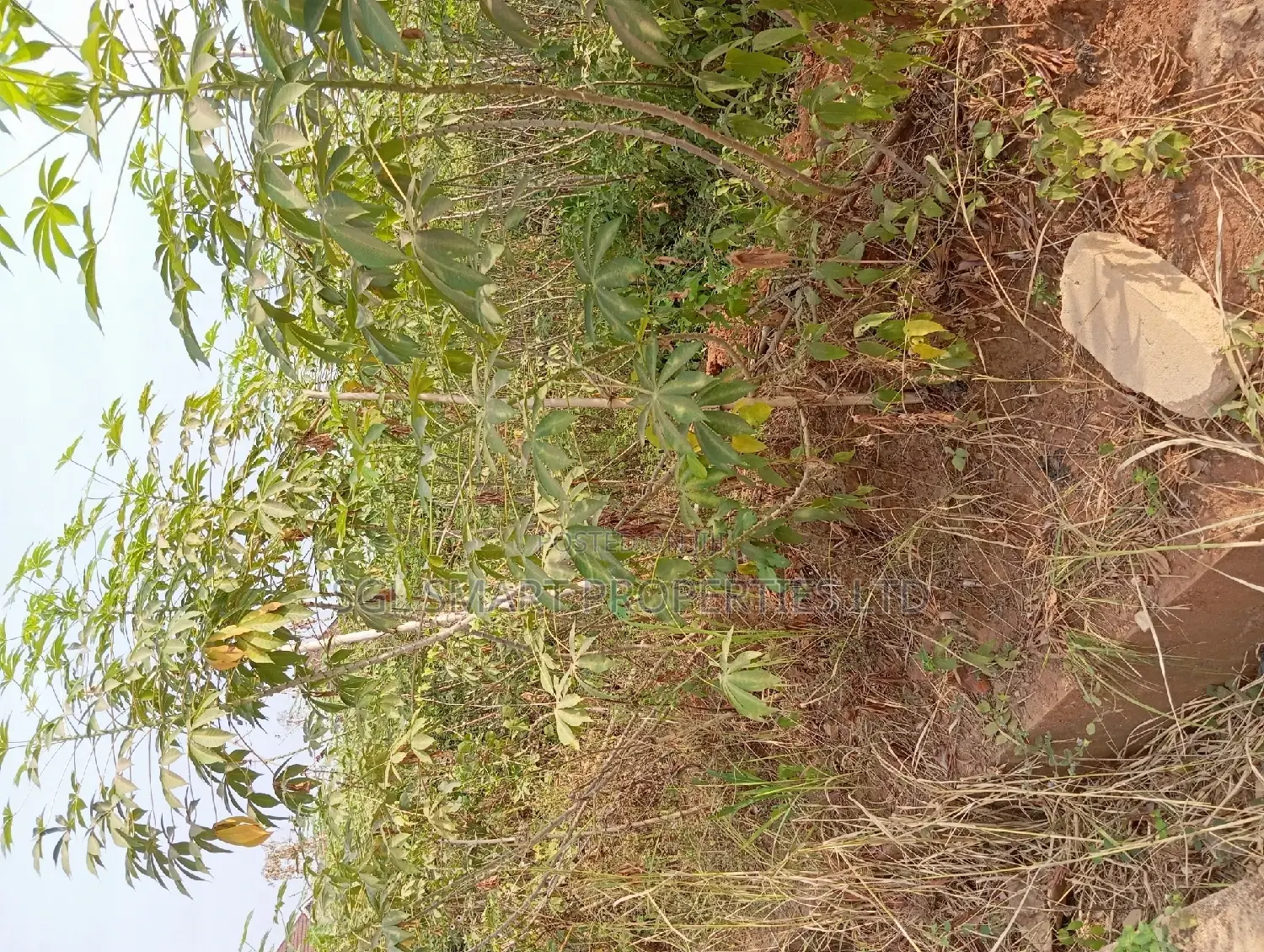 650 SQM in Ngozika Estate for Sale in Awka