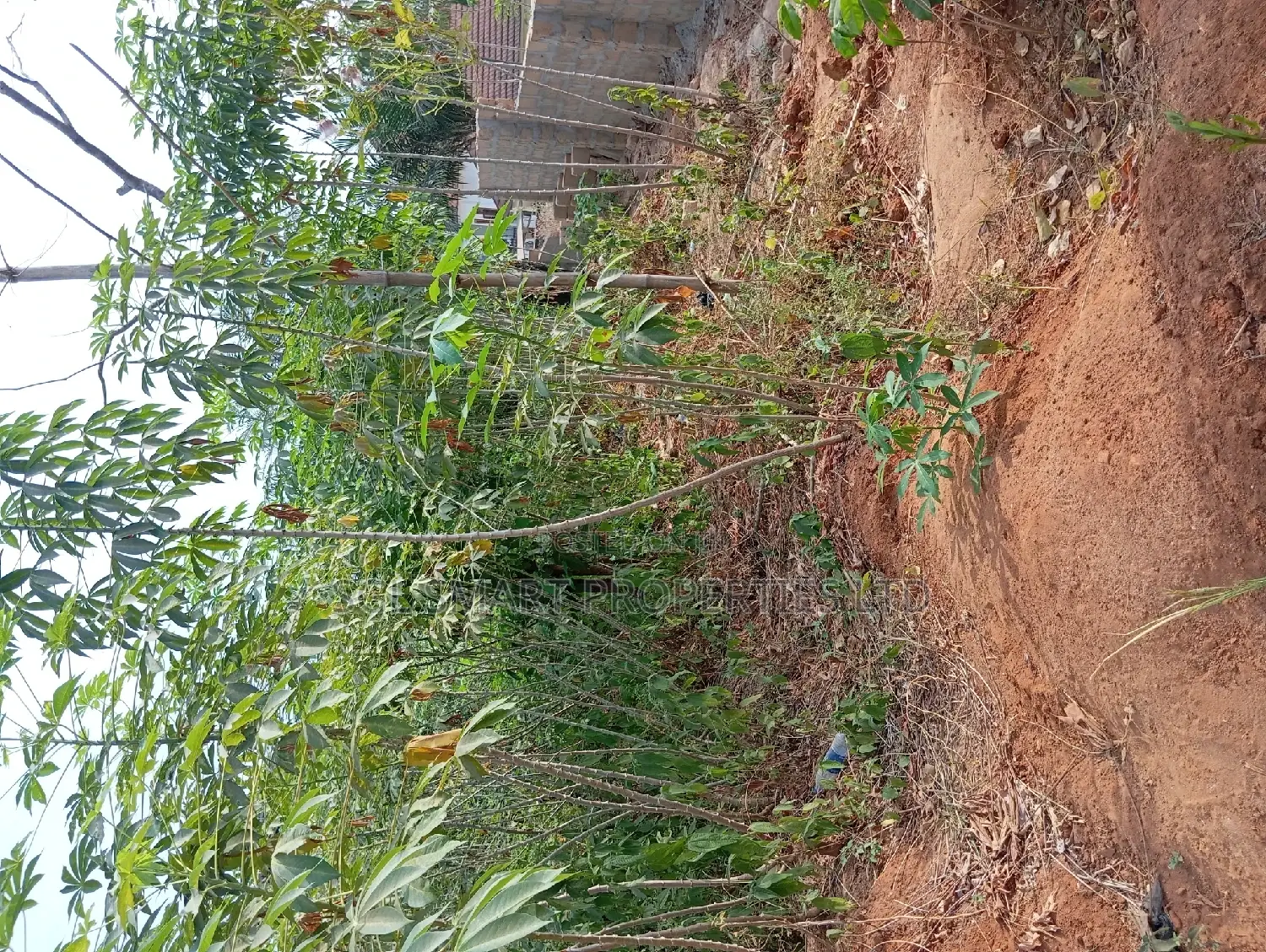650 SQM in Ngozika Estate for Sale in Awka