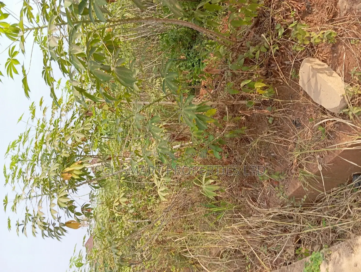 700 SQM of Land at Ngozika Estate Awka in Awka