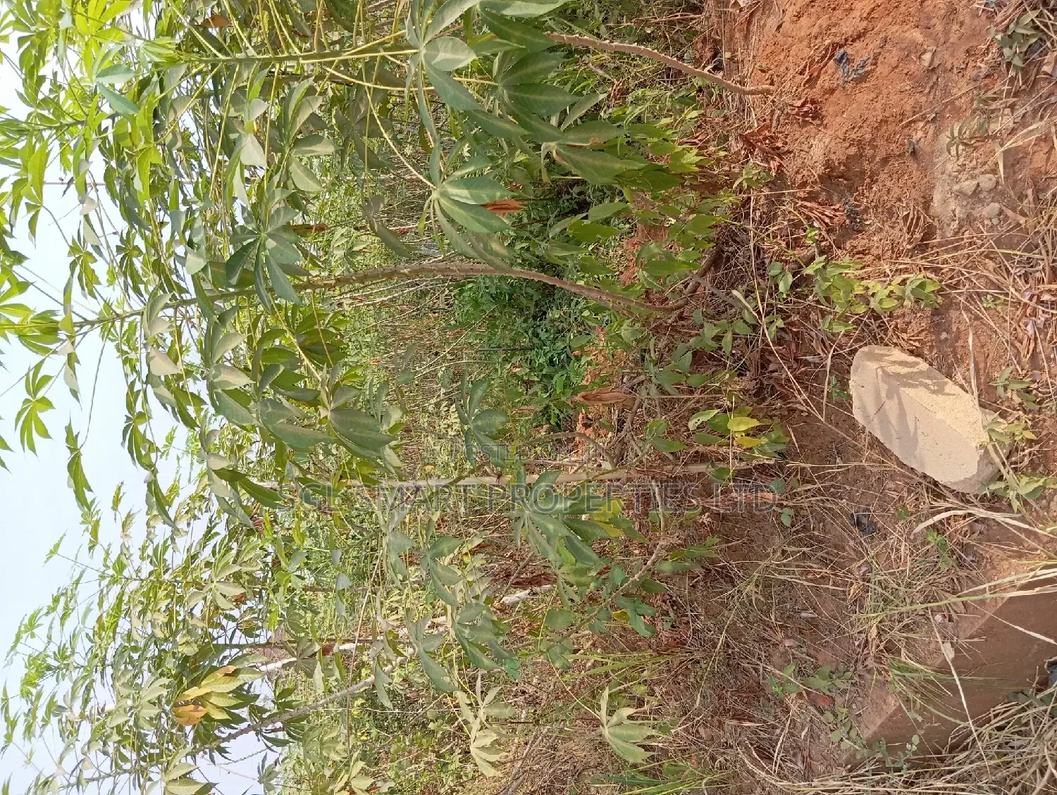 700 SQM of Land at Ngozika Estate Awka in Awka