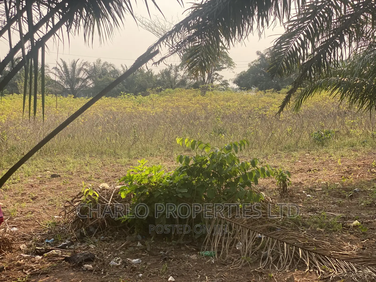 Genuine 200ft by 200ft Along Benin-Sapele Road Express for Sale in Benin City