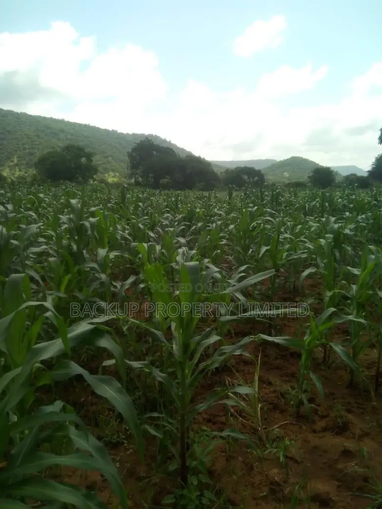 12 Acres of Land for Residential or Commercial Use in Ado / Ajah