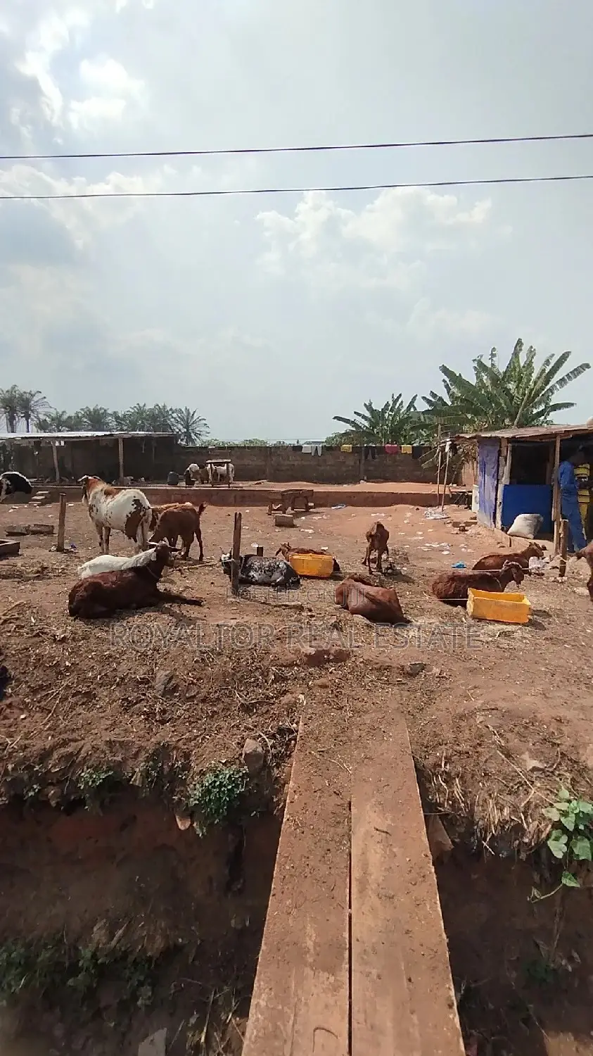 4 Plots Fenced Along the Main Road in Benin City