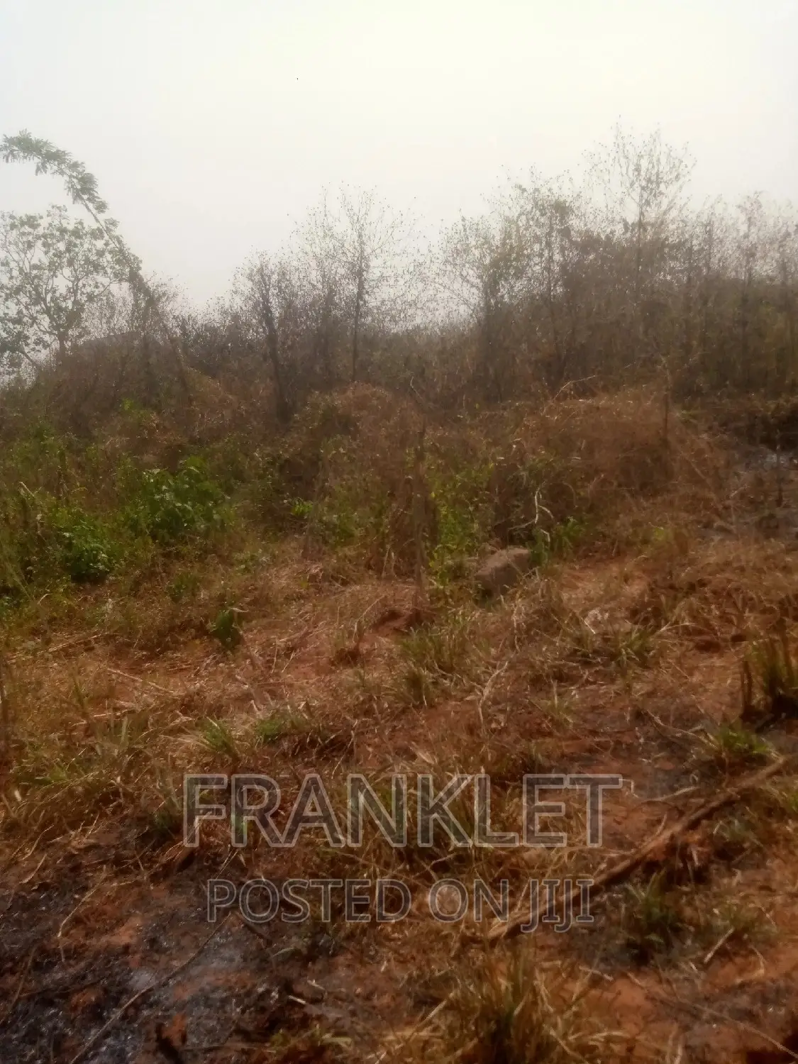 Virgin Land at Asaba in Oshimili South