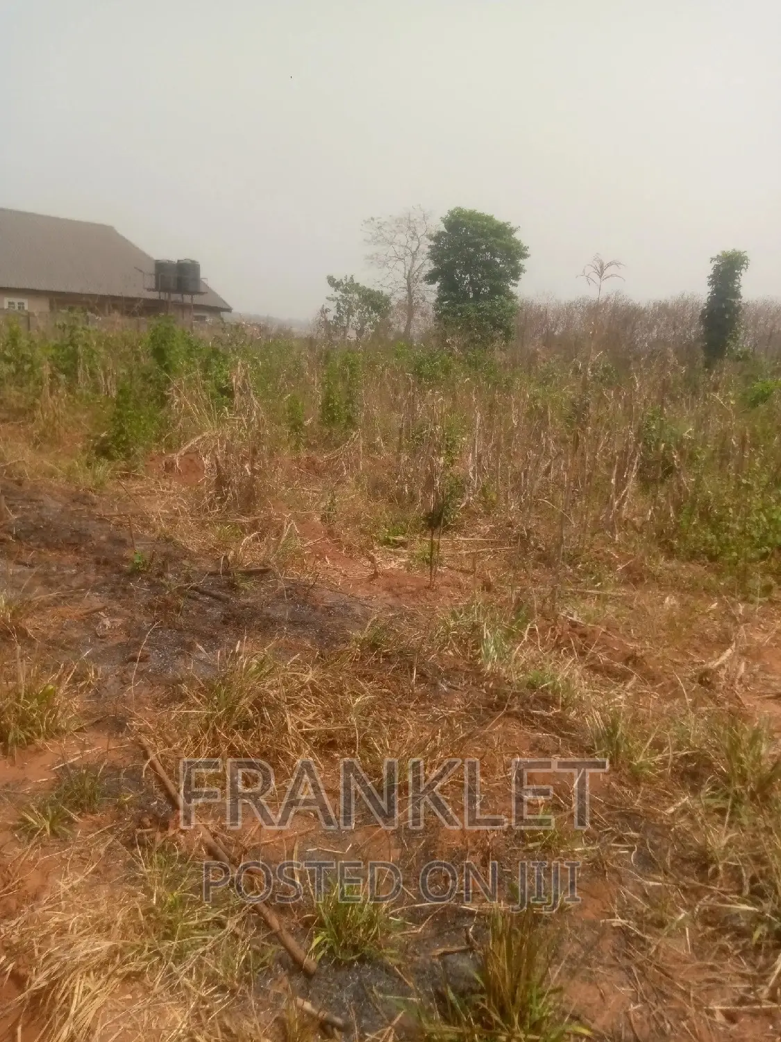 Virgin Land at Asaba in Oshimili South