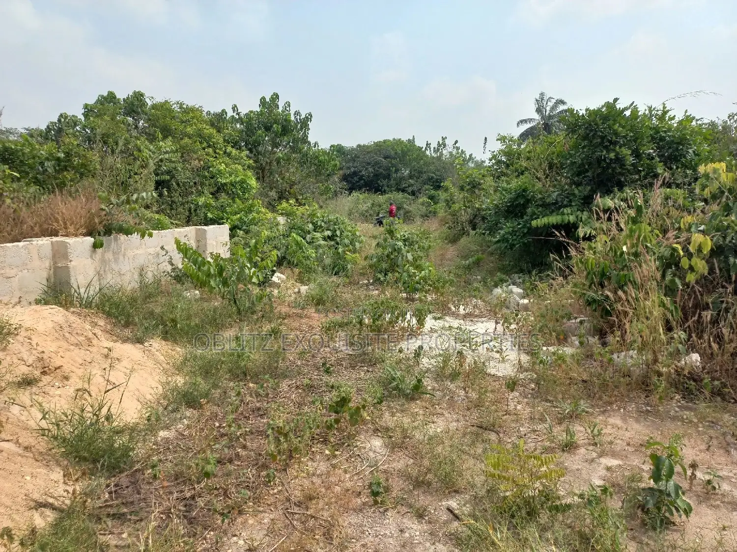 Fishery and Poultry Farm on 9 Plots for Sale in Owerri