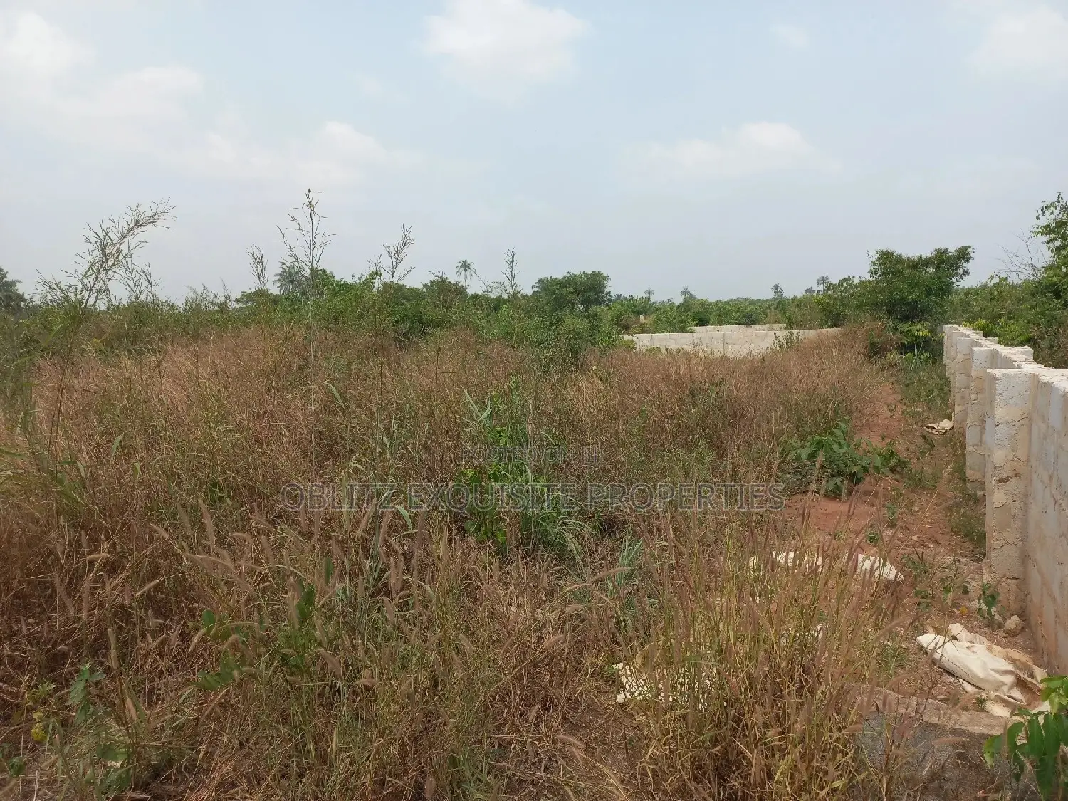 Fishery and Poultry Farm on 9 Plots for Sale in Owerri