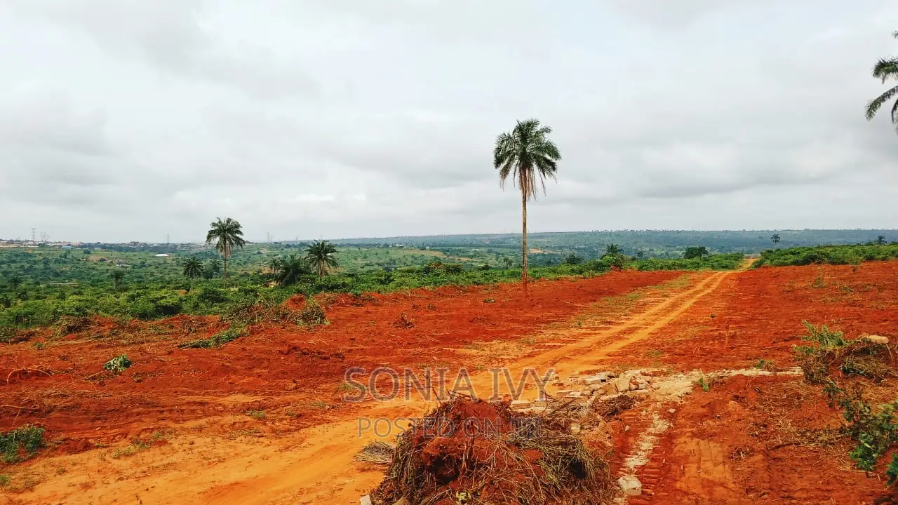 Land at Ibusa in Aniocha North