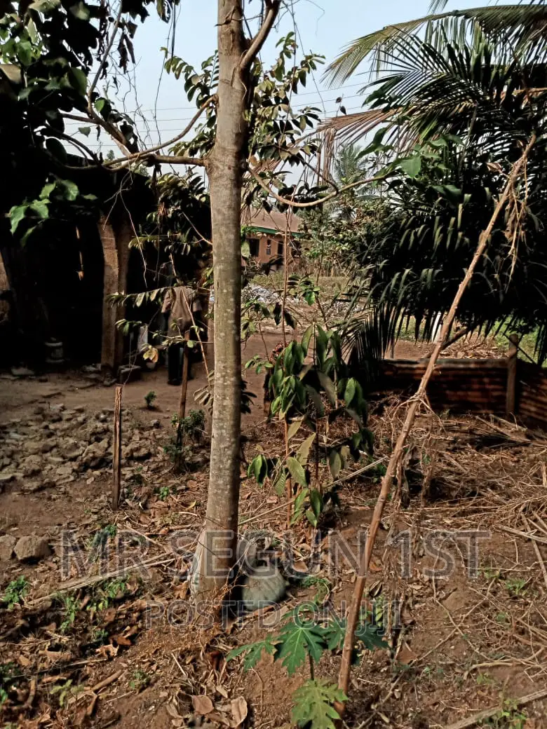 Plot of Land at Odo Ona in Odo Ona