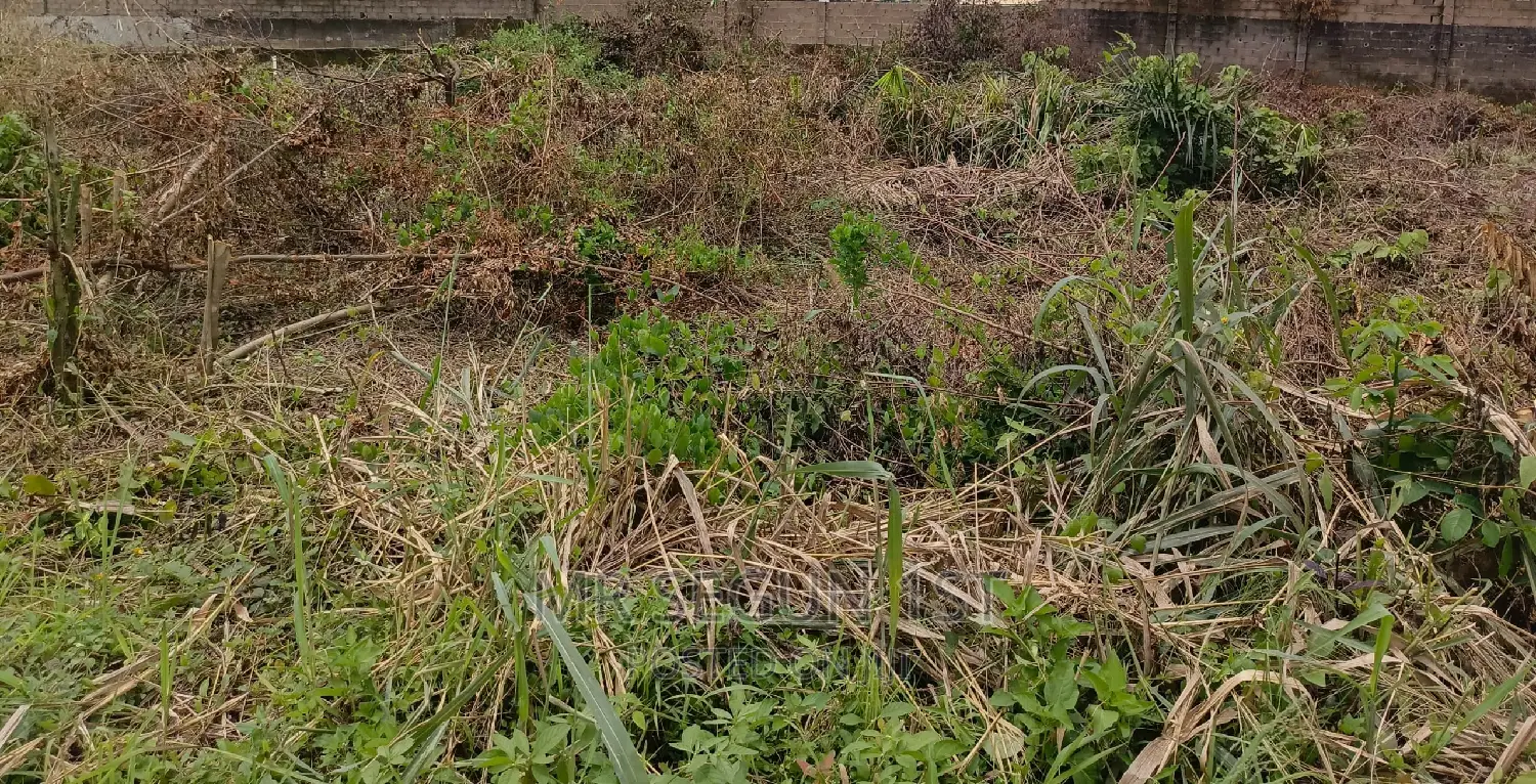 Plot of Land at Odo Ona in Odo Ona