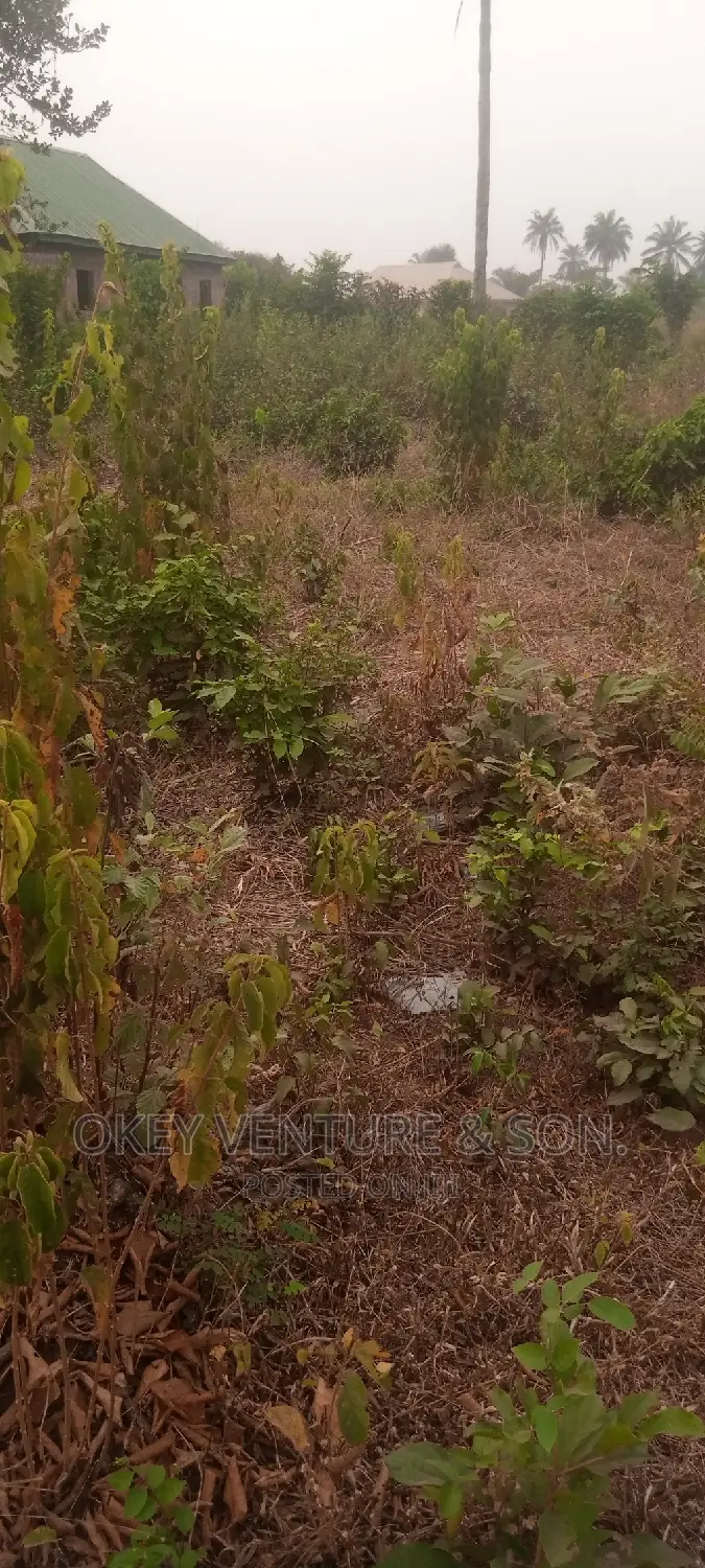 A Full Plot of Land Is for Sale at Ayetoro, Sagamu. in Sagamu
