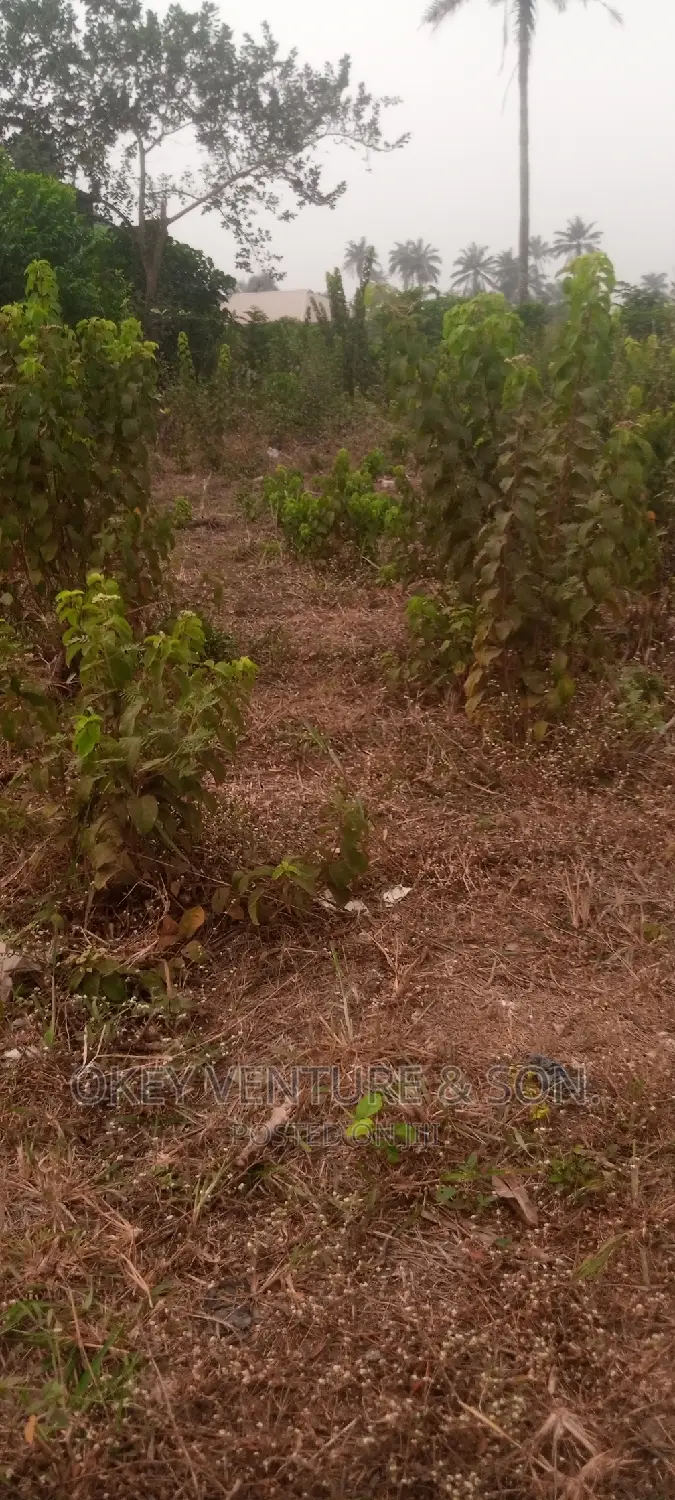A Full Plot of Land Is for Sale at Ayetoro, Sagamu. in Sagamu