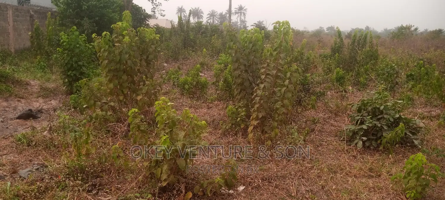 A Full Plot of Land Is for Sale at Ayetoro, Sagamu. in Sagamu