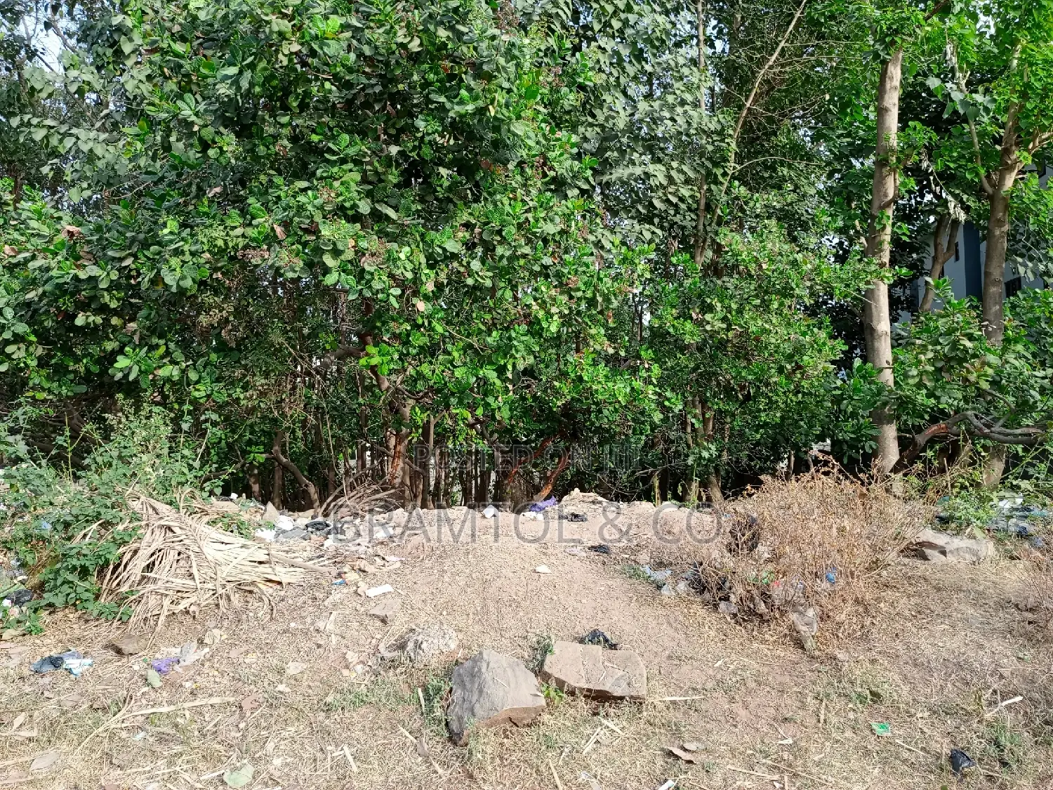 2000sqm Cofo Residential Plot, Buy, Build and Live in Guzape District