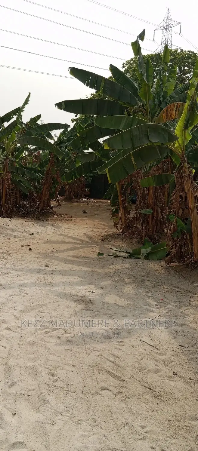 For Sale: Obirikwere New Airport Rd in Port-Harcourt