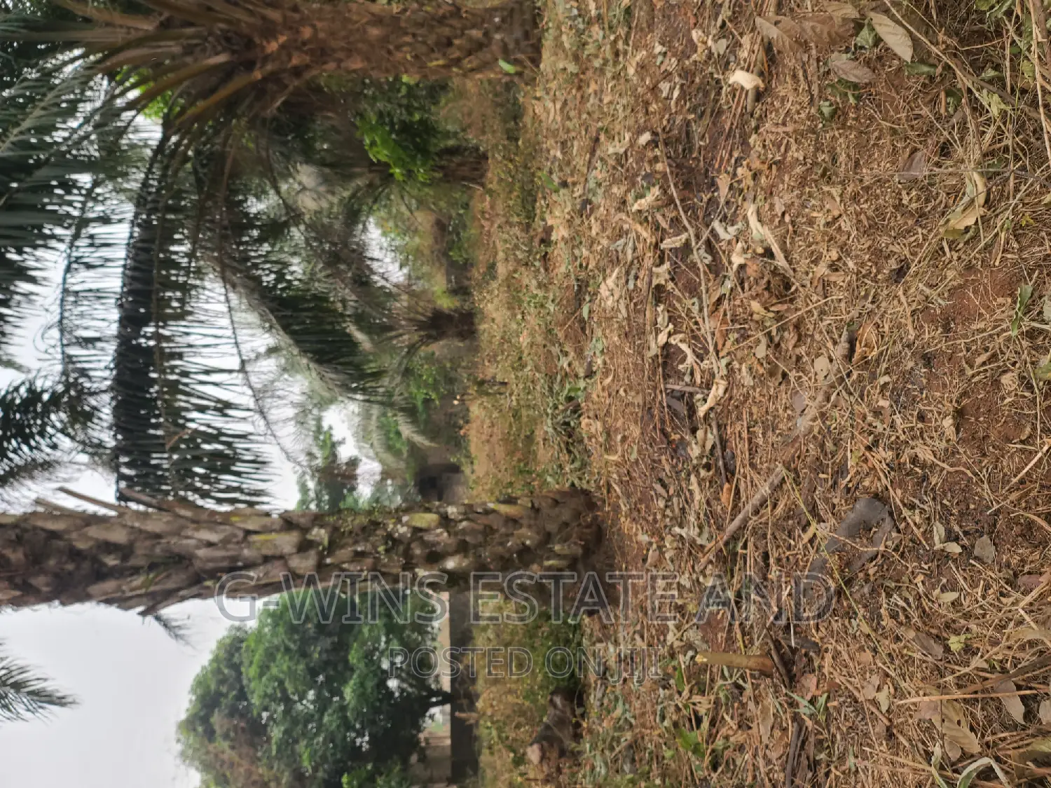 100x100ft at Obazagbon Off Airport Road in Benin City