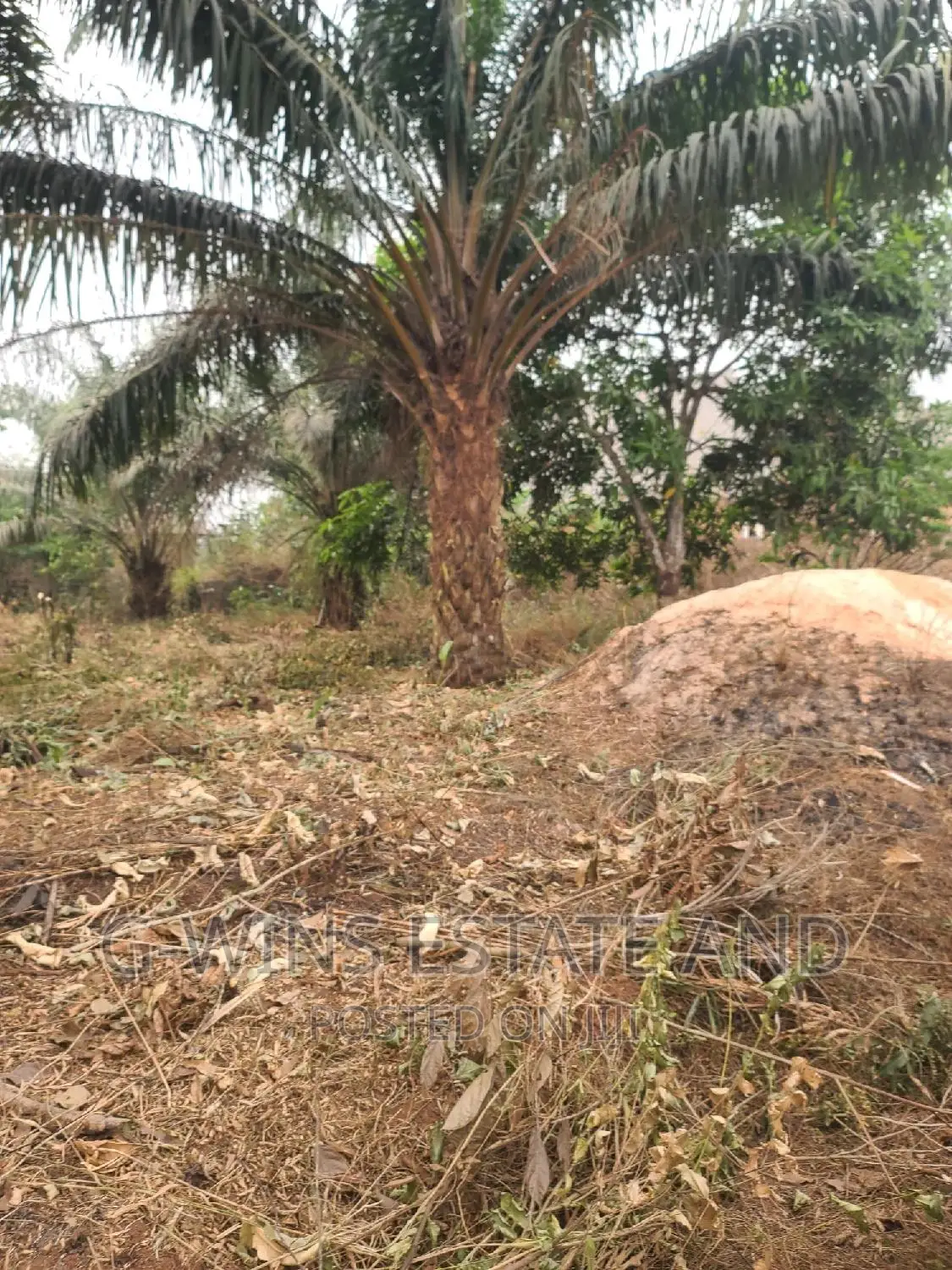 100x100ft at Obazagbon Off Airport Road in Benin City