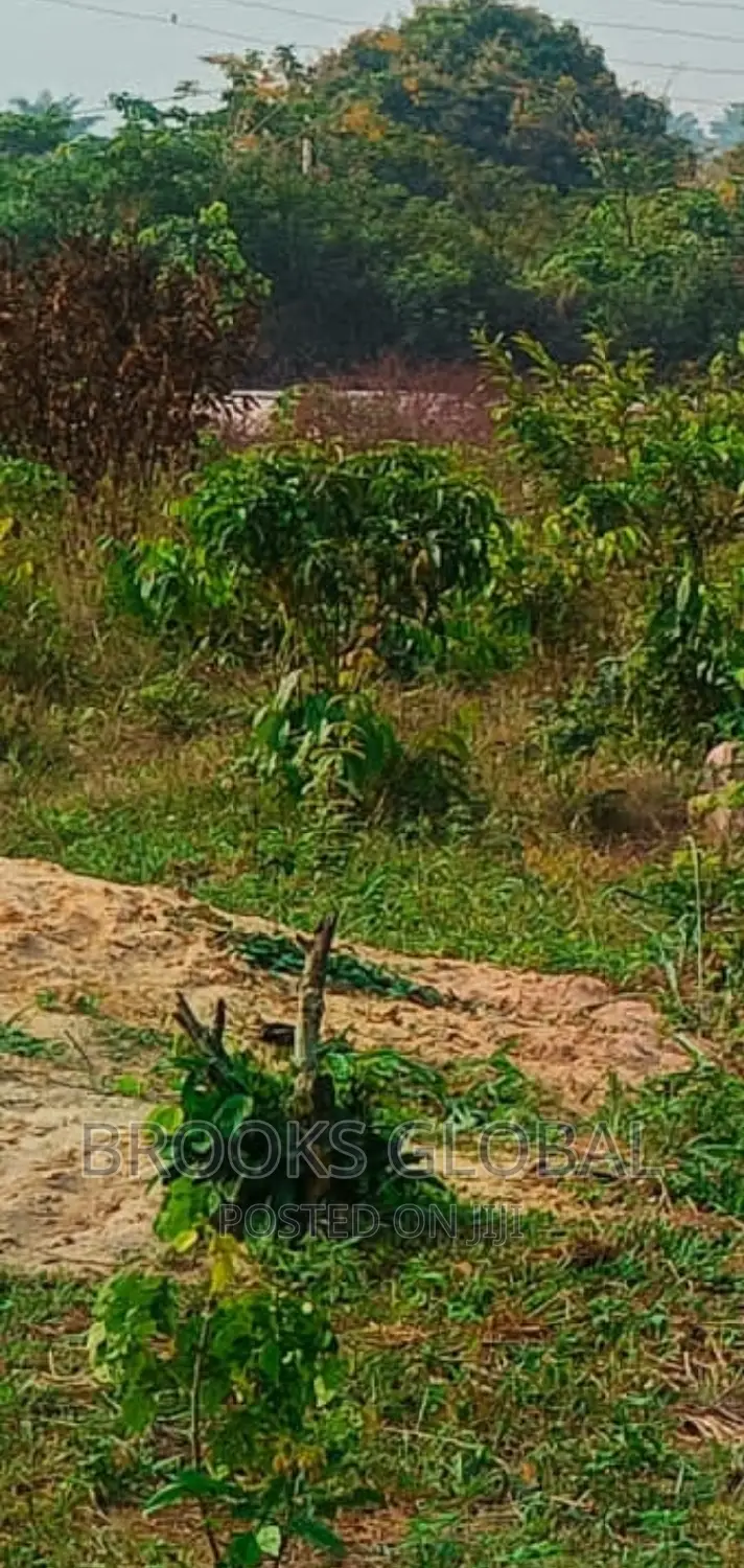 Land of 100/100 for Sale at Isiohor, Benin in Benin City