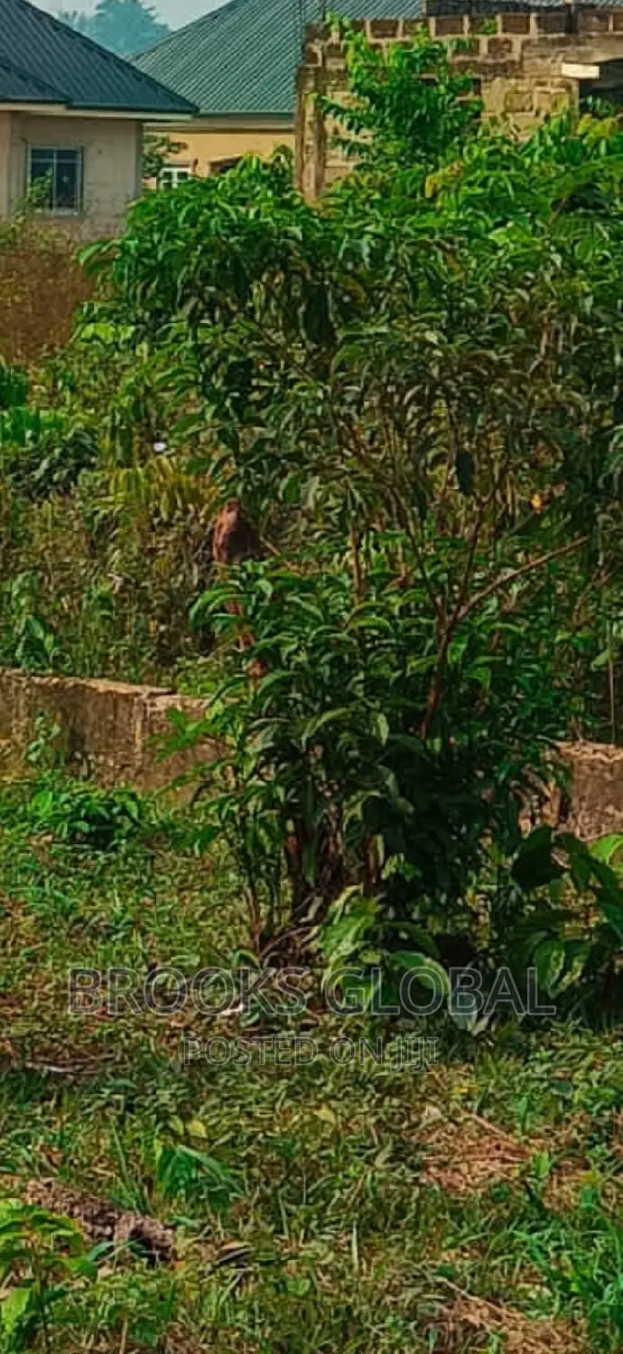 Land of 100/100 for Sale at Isiohor, Benin in Benin City