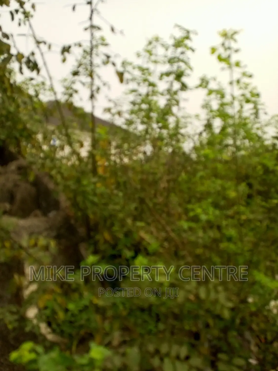 2 Plots of Land for Sale in Amuwo-Odofin
