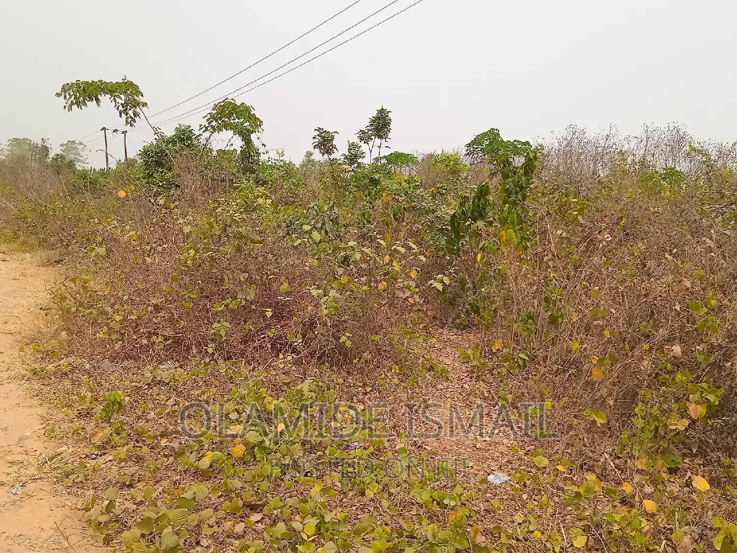 Ibadan Road Side 1 1⁄2acre(9plots), Ife in Ife
