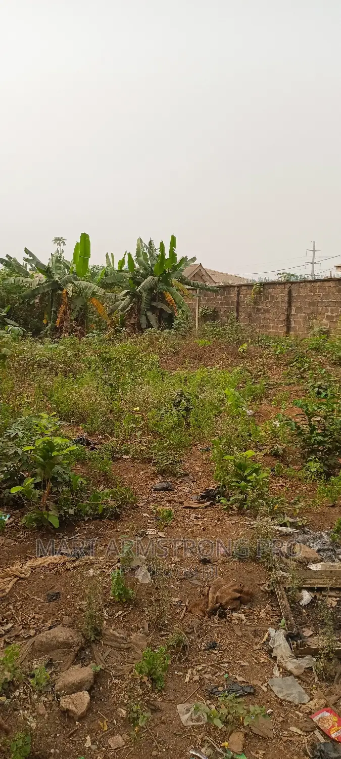Commercial Plot of Land Close to the Major Road in Ikorodu