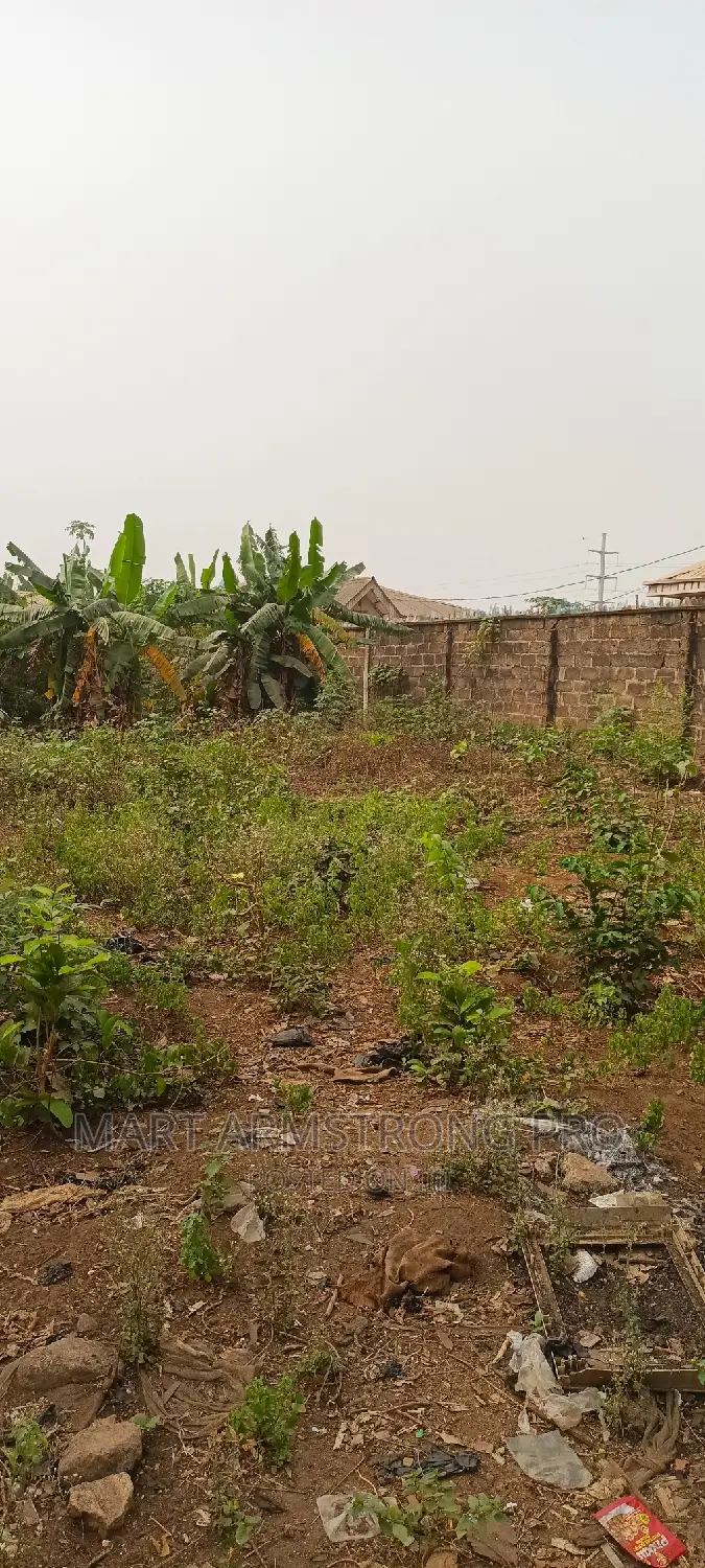 Commercial Plot of Land Close to the Major Road in Ikorodu