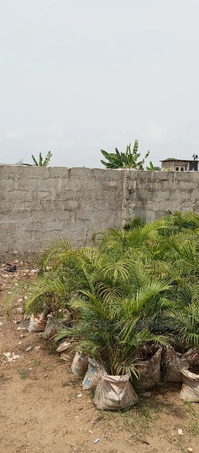 For Sale : 3 Fenced With Gate Plots of Land in Port-Harcourt