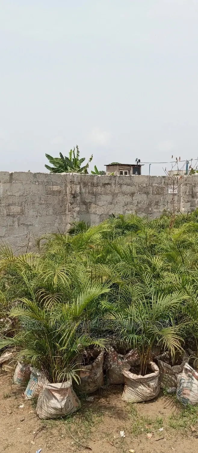 For Sale : 3 Fenced With Gate Plots of Land in Port-Harcourt