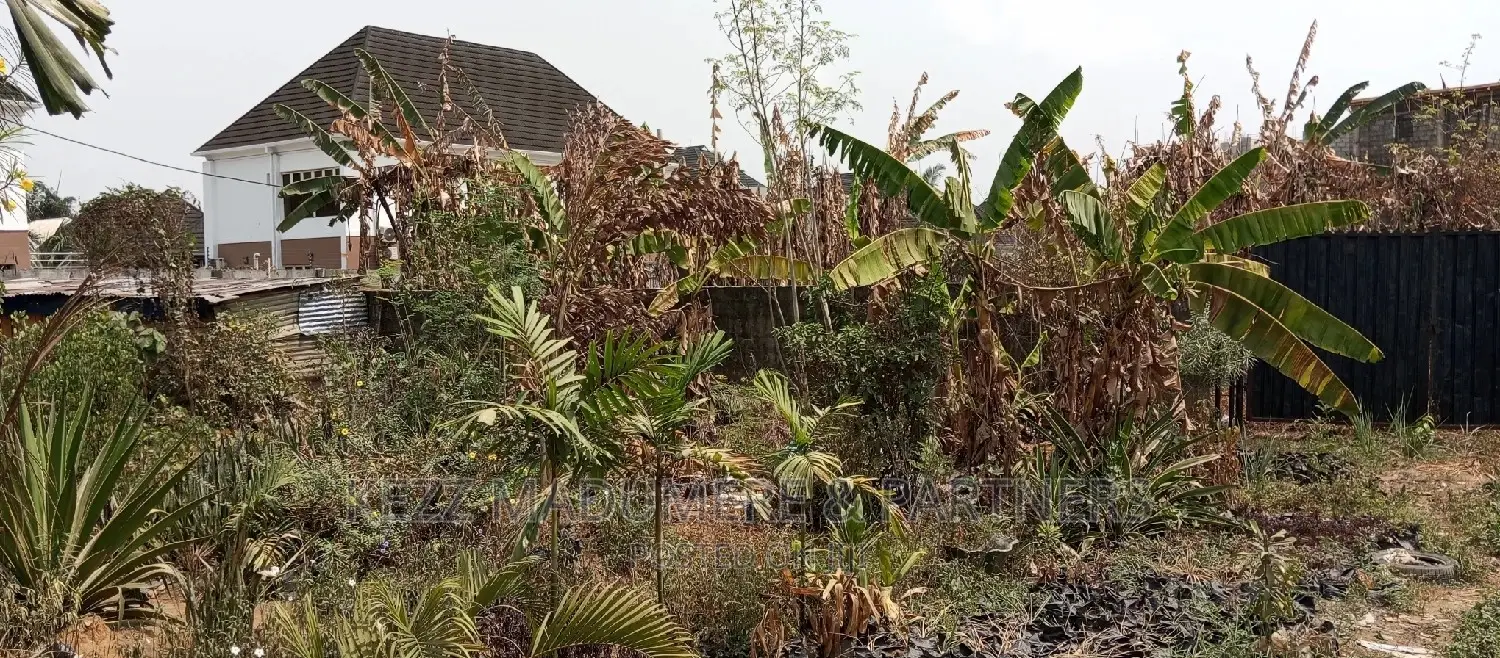For Sale : Land on the Major Nta Road in Port-Harcourt