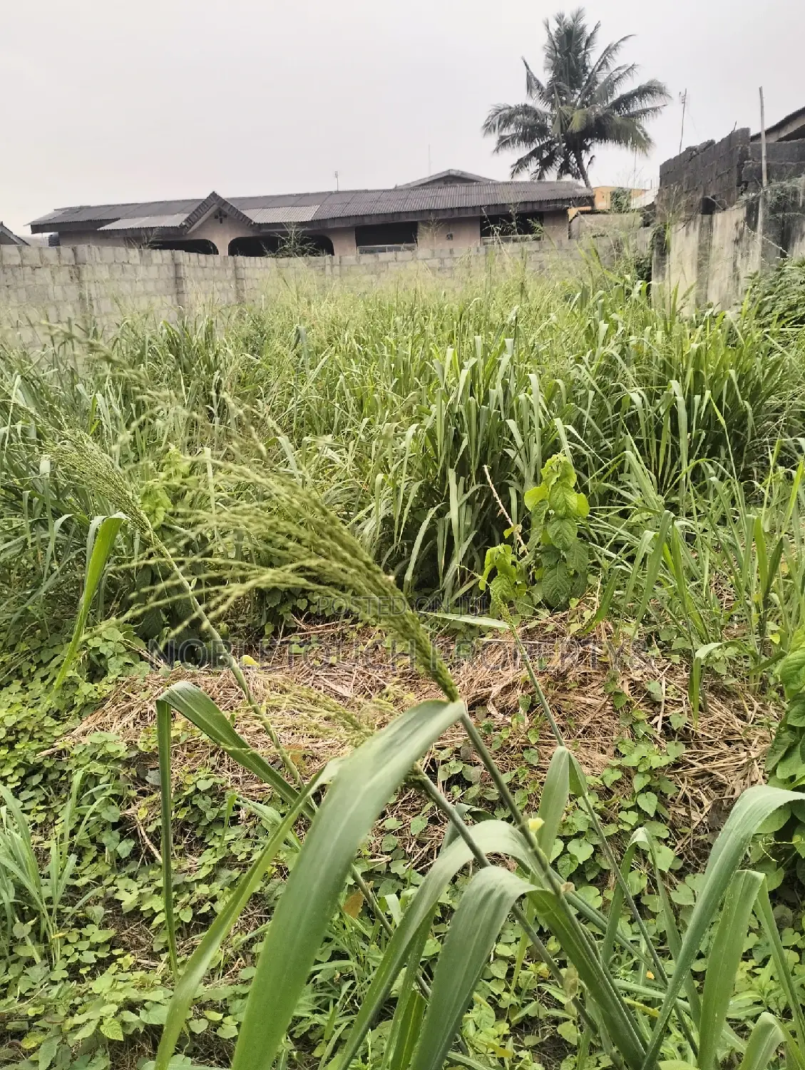 Empty Space/Land Along Oladun Road by Lasu Rd in Iseri Olofin