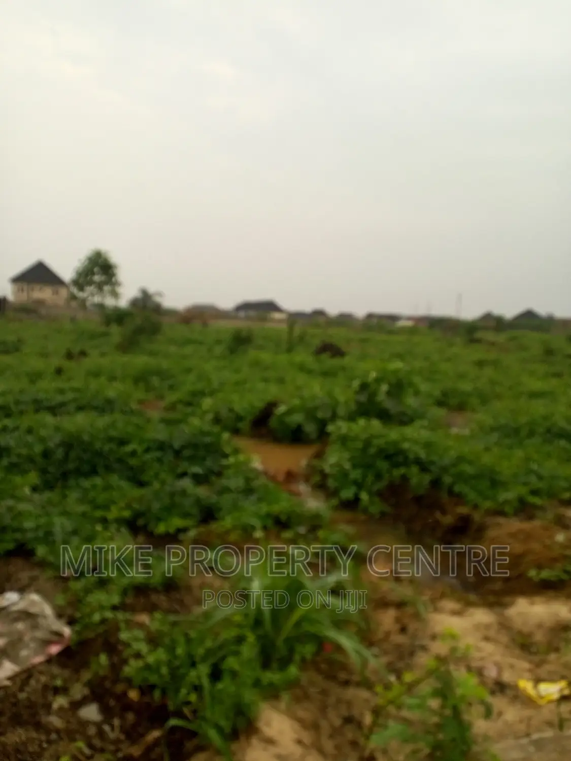 3 Full Plots of Land in Bucknor