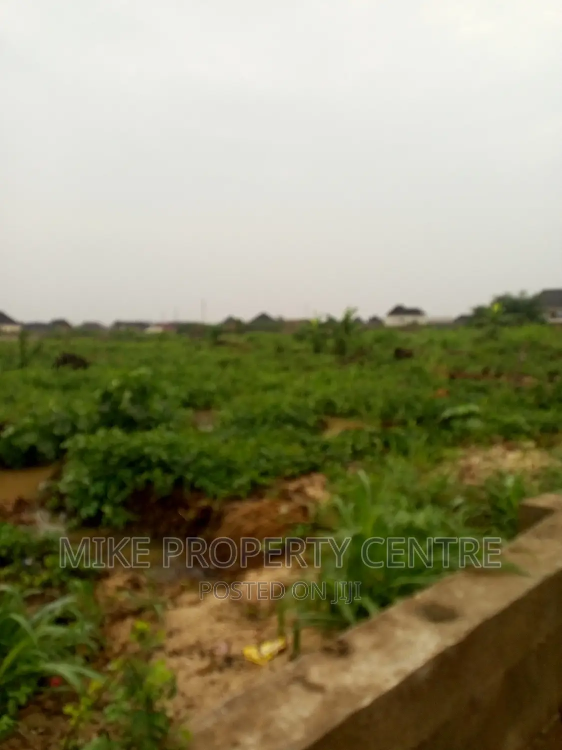 3 Full Plots of Land in Bucknor