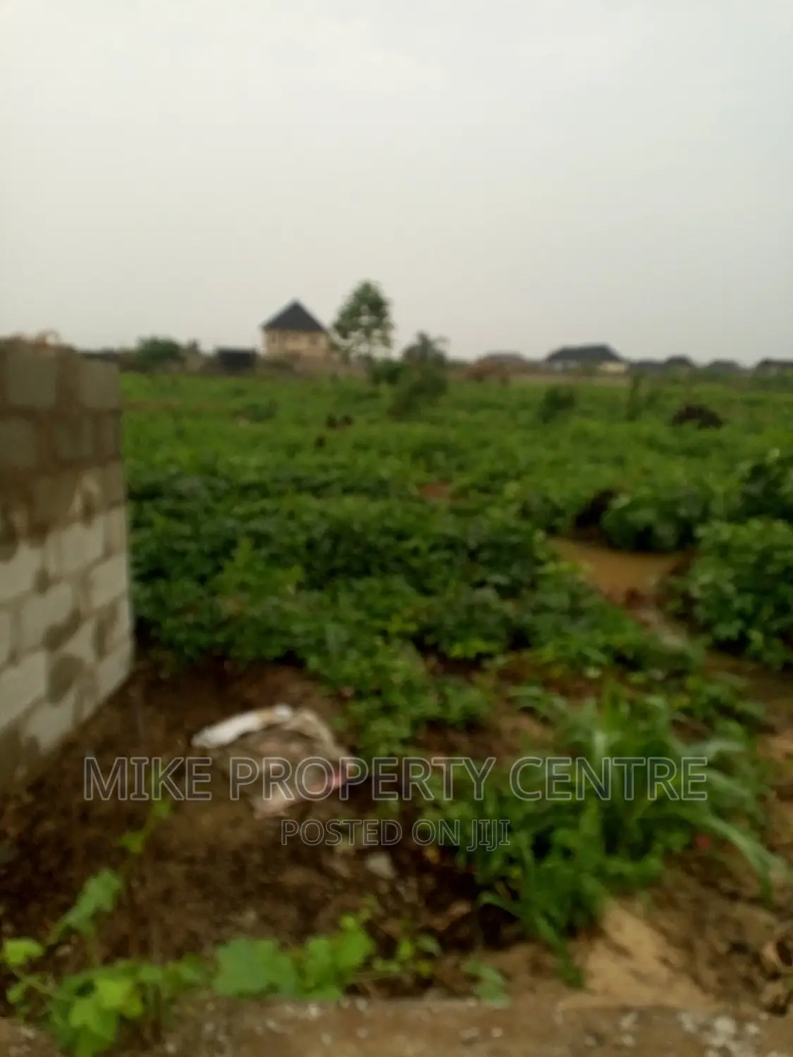 3 Full Plots of Land in Bucknor