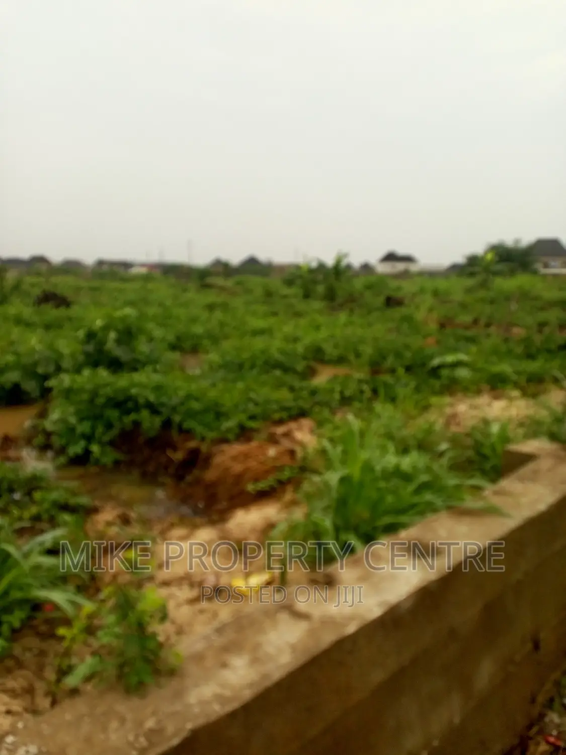 3 Full Plots of Land in Bucknor