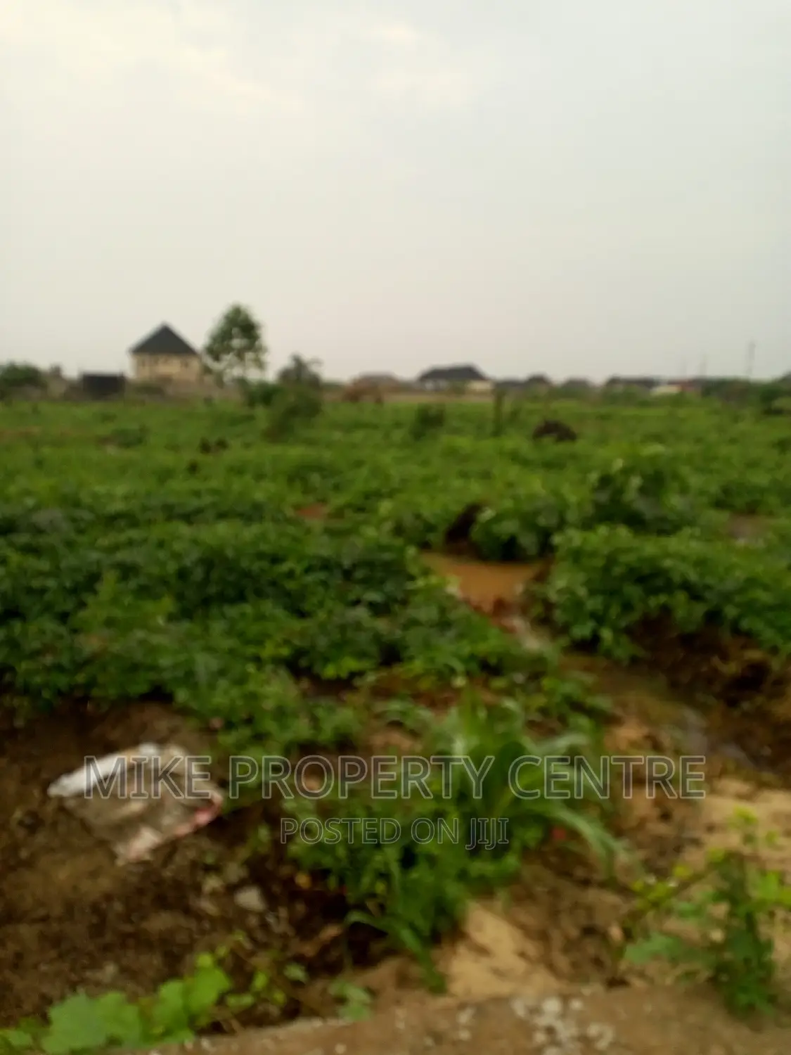 3 Full Plots of Land in Bucknor